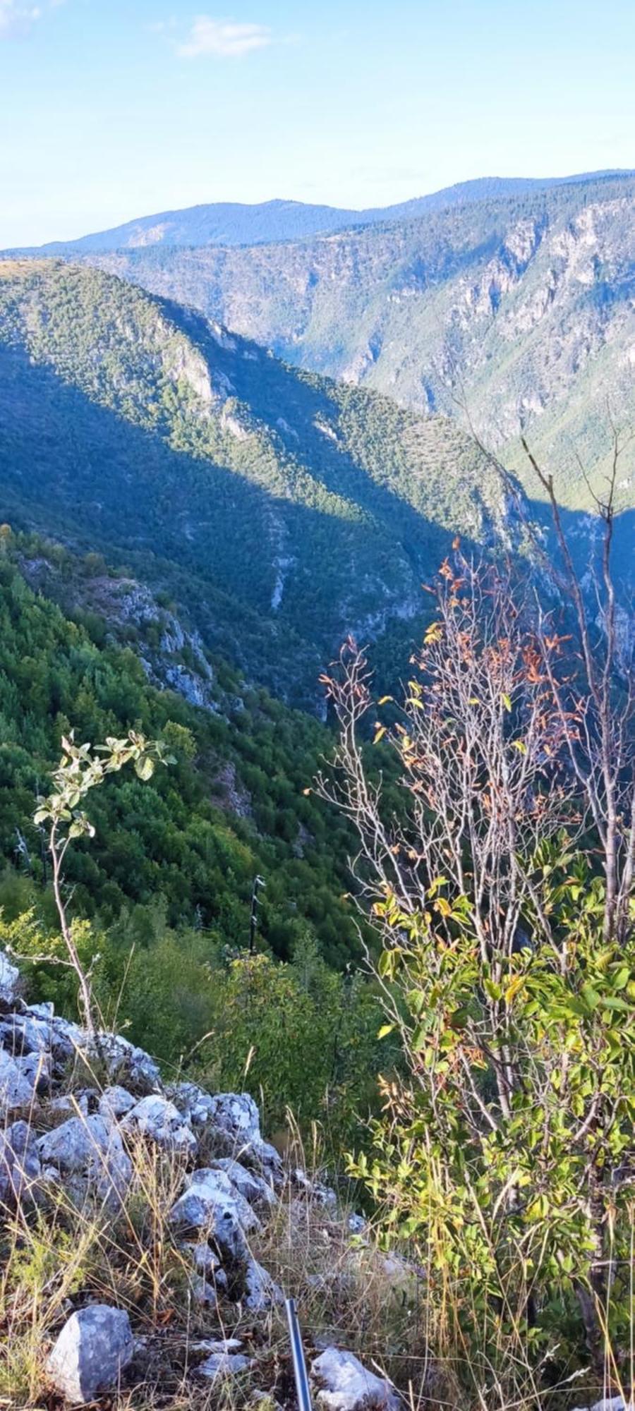 Weekend House In The Piva Nature Park Pluzine Bagian luar foto