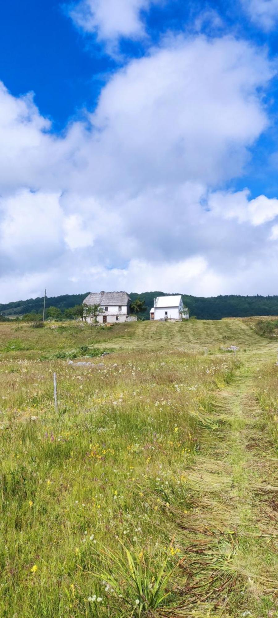 Weekend House In The Piva Nature Park Pluzine Bagian luar foto